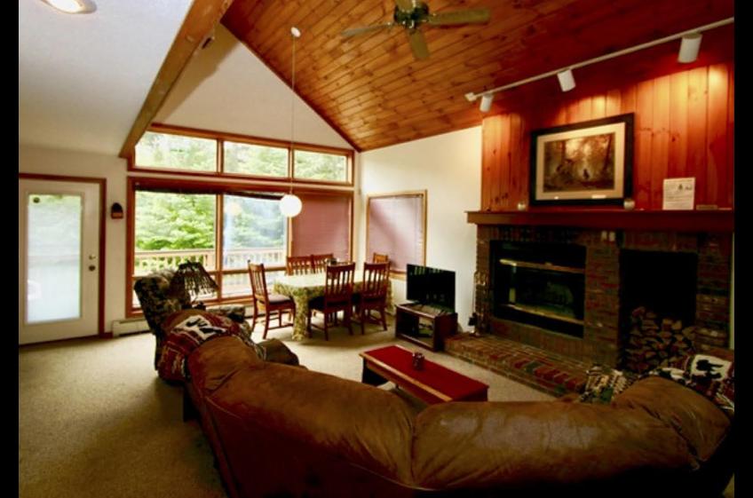 living room cabin