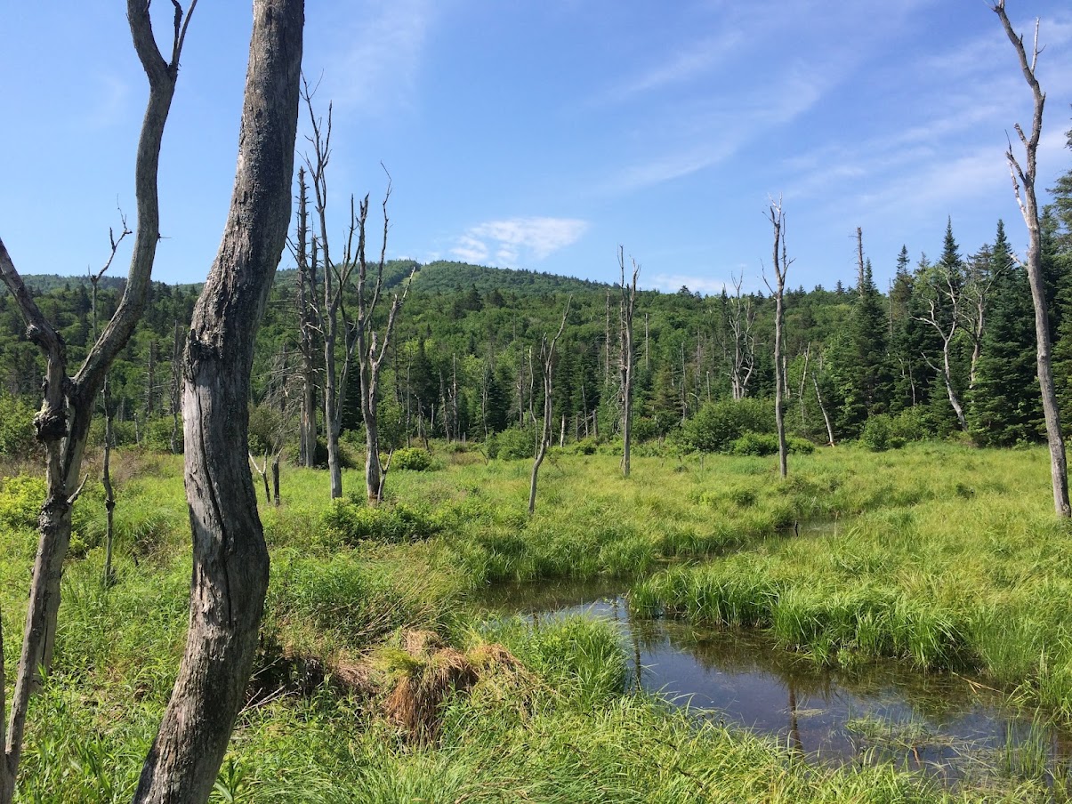 White Mountains Rentals Bretton Woods Vacations