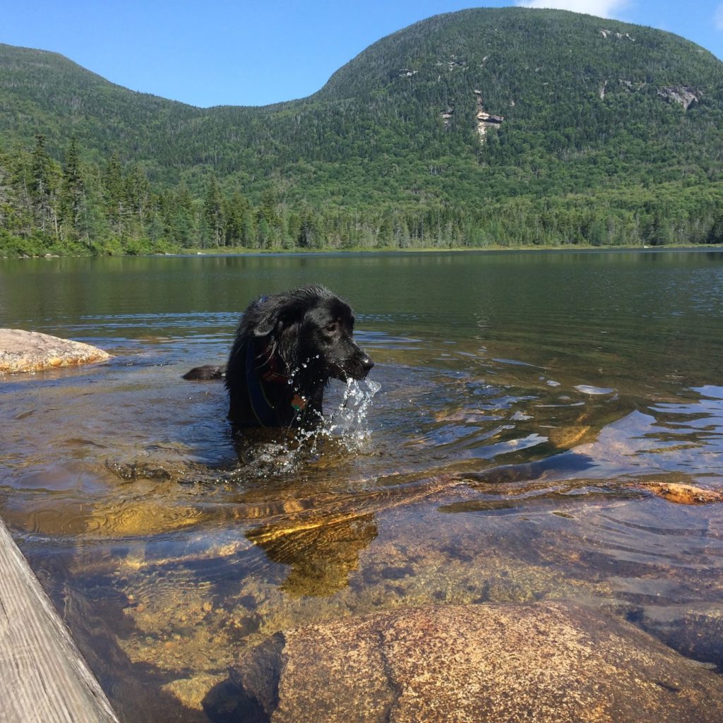 Lonesome Lake