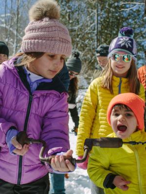 Maple Sugaring
